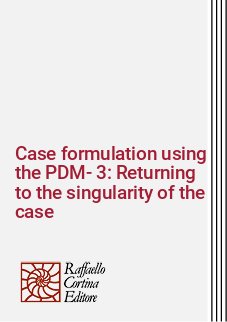 Case formulation using the PDM-3: Returning to the singularity of the case