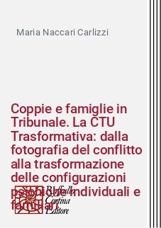 Coppie e famiglie in Tribunale. La CTU Trasformativa: dalla fotografia del conflitto alla trasformazione delle configurazioni psichiche individuali e familiari